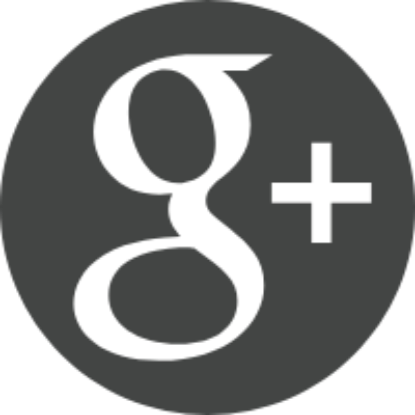 Google+ icon